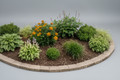 ✓ Mulching